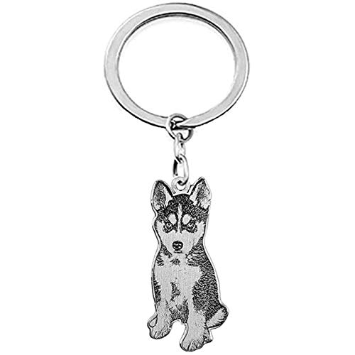 Llaveros Personalizados con Foto, Llavero Personalizado con Foto para Perros, Gatos y Mascotas, Mensaje Grabado, Plata 925 para Mujeres, Amantes de Las Mascotas