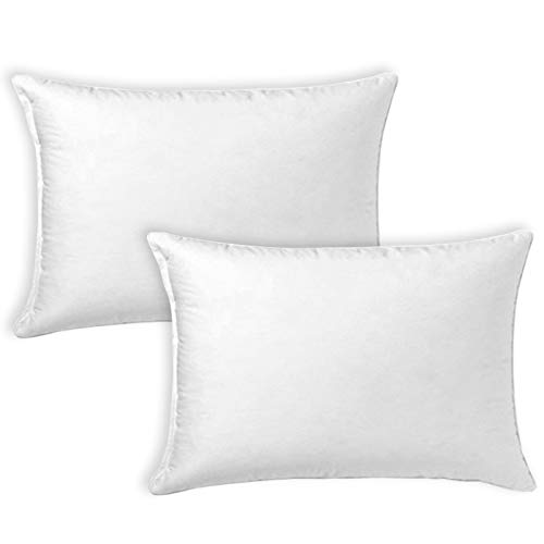 MERCURY TEXTIL- Relleno de Cojin Juego de 2/4 Unidades Super Suave Mullido, Antialergico, Fibra Hueca de Alta recuperacion, para Sofá,Cama,Coche (2 Rellenos, 40X60 cm) MERCURY TEXTIL- Relleno de Cojin Juego de 2/4 Unidades Super Suave Mullido, Antialergico, Fibra Hueca de Alta recuperacion, para Sofá,Cama,Coche (2 Rellenos, 40X60 cm)