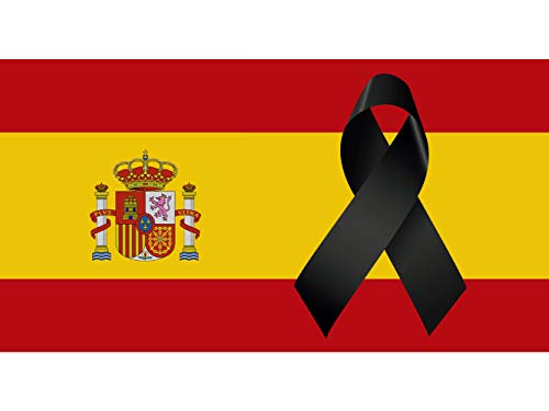 Oedim Bandera de España con Crespón | Medidas 3x1m | Bandera de España con Crespón | Bandera con Refuerzo y Ojales Cada 50cm Metálicos | Resistente al Agua