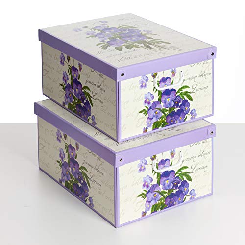 SET DE DOS Cajas de almacenamiento en cartón, tamaño grande, 2 unidades, modelo VIOLETAS