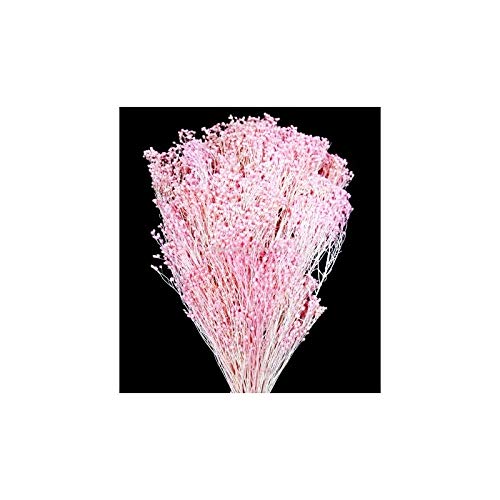 Artipistilos Flor Preservada Para Decoracion De Tocados Y Coronitas - 40 X 25 Cms, Rosa Pastel - Flores Preservadas