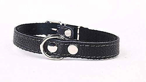 Collar para Perro de Piel auténtica, Color Negro, 25 mm de Ancho, 55 cm de Largo