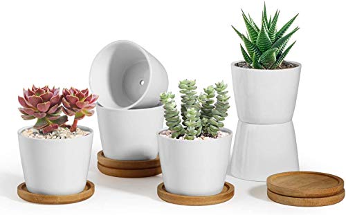 ComSaf 8.5CM Ceramic Succulent Plant Pot Cactus Planter Window Box with Bamboo Tray - Small White Pack of 6, Desktop Windowsill Office Decoration Birthday Wedding for Garden Lover