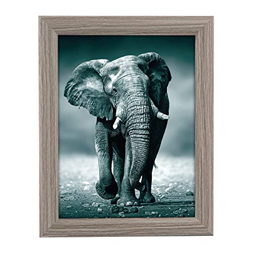 Goldbuch Toscana Formato de 15 x 20 cm, Soporte de Pared, Individual de Madera DM, Marco de Fotos, MDM, Gris Goldbuch Toscana Formato de 15 x 20 cm, Soporte de Pared, Individual de Madera DM, Marco de Fotos, MDM, Gris