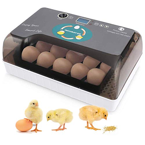Incubadoras Automáticas de 12 Huevos, Incubadoras con Iluminación LED, Pantalla Digital y Control de Temperatura Eficiente Iinteligente