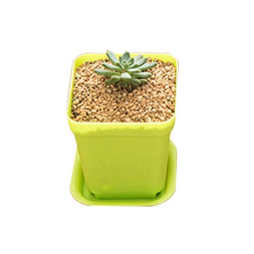 JINYANG Suministros hortícolas Macetas Macetas de plástico Mini Plantas de vivero con Bandeja, Entrega de Colores al Azar JINYANG Suministros hortícolas Macetas Macetas de plástico Mini Plantas de vivero con Bandeja, Entrega de Colores al Azar