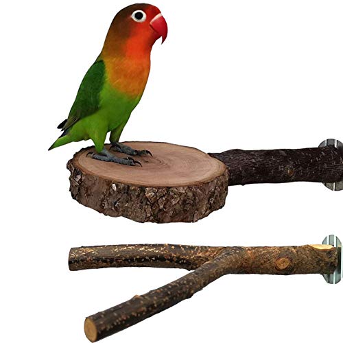 Joody - Juego de 2 palos para pájaros de madera natural y plataforma de soporte para jaula, accesorios de jaula de pájaros, juguetes de molienda de patas para pequeños conros y cockatiels