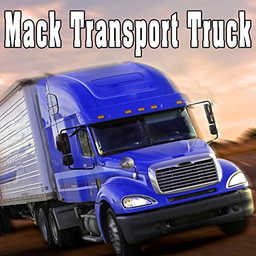 Mack Transport Truck Rear Cargo Door Closed