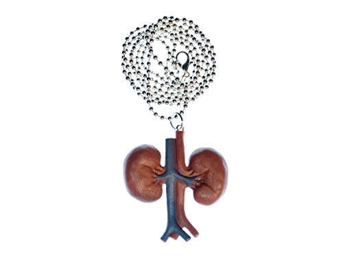 Miniblings Cadena Kidney Collar 80cm anatomía Interna Medicina órgano riñón orina