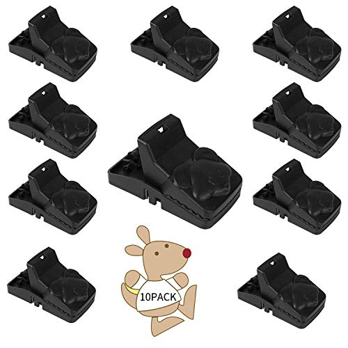 moinkerin 10 Piezas trampas para Ratas Trampa Ratones Reutilizable Mouse Trap para Atrapar Ratones, Uso en Interiores y Exteriores
