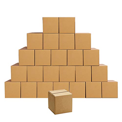 PETAFLOP Cajas de cartón Corrugado para envíos de 10,2x10,2x10,2 cm Paquete de 25