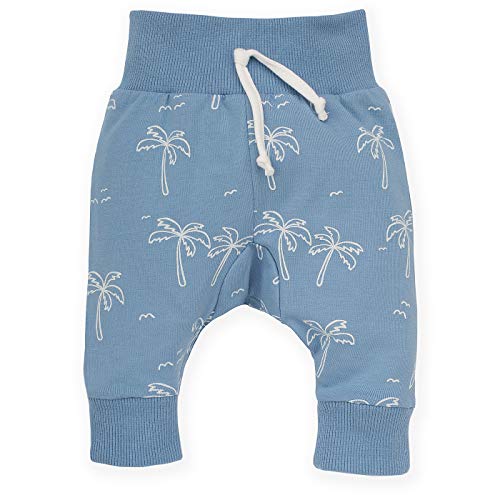 Pinokio - Sun & Fun - Leggings Baby Bebé Niños Niñas Unisex Polainas Azul con Estampado Algodón Verano 62-104 cm (68, Azul)