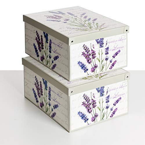 SET DE DOS Cajas de almacenamiento en cartón, tamaño grande, 2 unidades, modelo LAVANDA