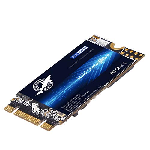 SSD M.2 2242 250GB Ngff Dogfish Unidad De Estado Sólido Incorporada Altura de Alta Velocidad Unidad de Disco Duro de Alto Rendimiento para computadora portátil de Escritorio SSD (250GB, M.2 2242)