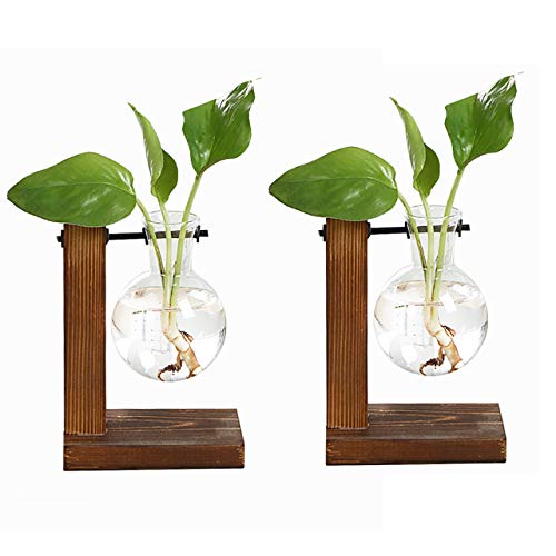 Zunbo Jarrón hidropónico colgante con soporte de madera, jarrón decorativo, florero colgante en la mesa, jarrón de cristal para plantas de agua (estilo A, 2 unidades)