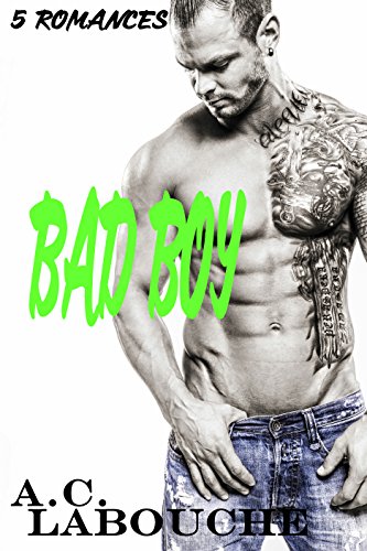 Bad Boy: 14 Historias M/M & Bi