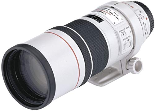 Canon EF 300 MM F4L IS USM - Objetivo para cámaras Canon (8 Hojas de diafragma, 0,24 Aumento máximo, 77 mm diámetro del Filtro), Blanco