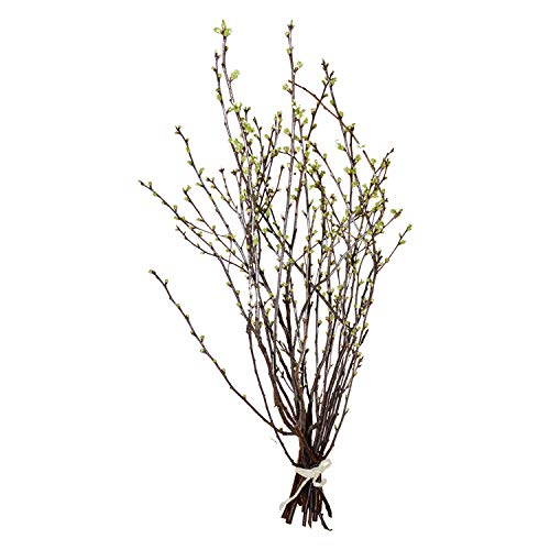 Dekozweig 15 ramas de cerezo, aprox. 40-80 cm, auténticas ramas del cerezo | ramas de primavera con flores de cerezo | Ramas de Pascua | Decoración primavera | Ramas decorativas de suelo