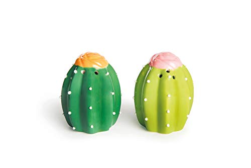 Excelsa Cactus - Juego de salero y pimentero, cerámica, verde, 2 unidades