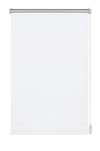 Gardinia 12551 - Estor de Rollo Sencillo, fácil Montaje, 75 cm x 150 cm, Color Blanco