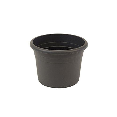 greemotion Maceta de Flores Fiona 2 l, Maceta de Plástico para Flores con Agujeros, Maceta Redonda para Interiores y Exteriores, Aprox. Ø 20 x 14 cm, Antracita greemotion Maceta de Flores Fiona 2 l, Maceta de Plástico para Flores con Agujeros, Maceta Redonda para Interiores y Exteriores, Aprox. Ø 20 x 14 cm, Antracita