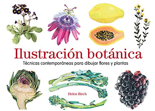 Ilustración botánica. Técnicas contemporáneas para dibujar flores y plantas