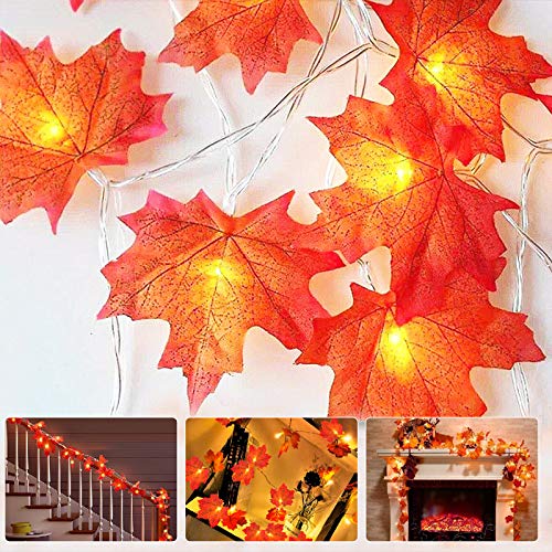 Nasharia - Guirnalda de 20 luces LED de hojas de arce, para otoño, resistente al agua, guirnalda de otoño con 2 m de decoración de otoño, decoración para Halloween, Navidad, balcón