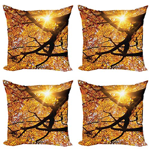 ABAKUHAUS Naturaleza Set de 4 Fundas para Cojín, Sun en Octubre de Cosecha, Estampado Digital en Ambos Lados y Cremallera, 40 cm x 40 cm, Naranja