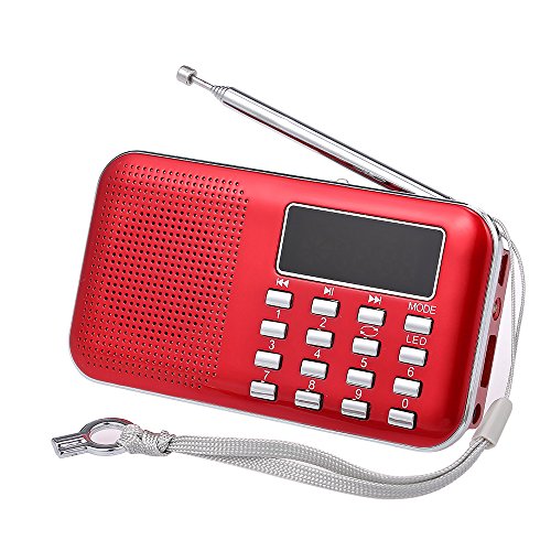 Docooler Mini FM Radio Digital Portátil 3 W Altavoz Estéreo Reproductor de Audio MP3 Calidad de Sonido de Alta FIDELIDAD con 2 Pulgadas Pantalla de Pantalla Soporte USB Unidad de Tarjeta TF
