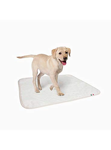 Empapador lavable muy absorbente para perros, medidas 70 x 90 cm