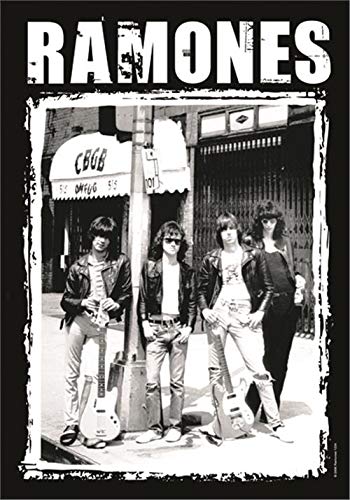 Heart Rock – Bandera Original de los Ramones - Fotografía de CBGB - Tejido Multicolor - Medidas 110 x 75 x 0,1 cm