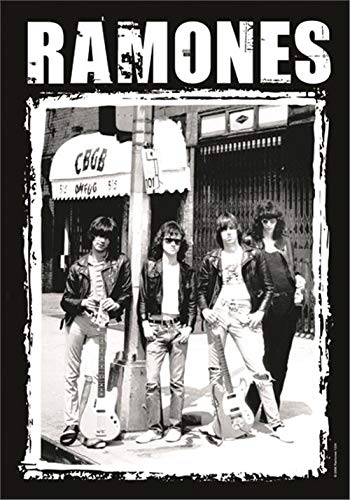 Heart Rock – Bandera Original de los Ramones - Fotografía de CBGB - Tejido Multicolor - Medidas 110 x 75 x 0,1 cm Heart Rock – Bandera Original de los Ramones - Fotografía de CBGB - Tejido Multicolor - Medidas 110 x 75 x 0,1 cm