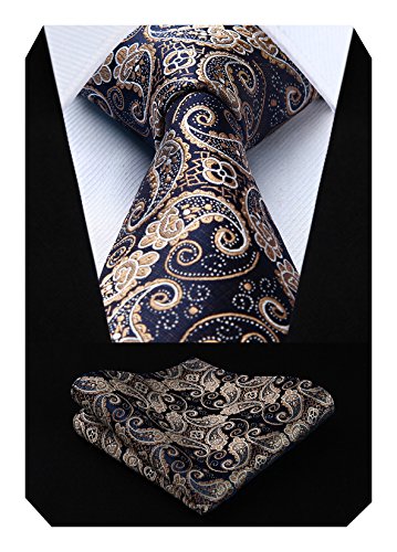 HISDERN Conjunto de panuelo de bolsillo y corbata de paisley floral para hombre