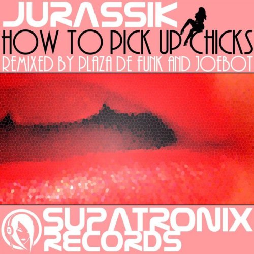 How to Pick Up Chicks (Plaza De Funk Remix)