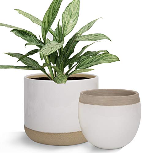 LA JOLIE MUSE Macetas de cerámica Blanca para Plantas – 6.5 Pulgadas Paquete 2 macetas Interiores con Detalles Beige y agrietados