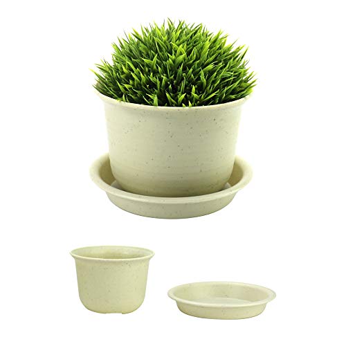 Macetas de plástico para plantas - Juego de 10 | Bonsai Ollas y Bandejas | Macetas de interior y exterior | Conjunto de plantadores de plántulas de vivero | Decoración del hogar | Pukkr (medio) Macetas de plástico para plantas - Juego de 10 | Bonsai Ollas y Bandejas | Macetas de interior y exterior | Conjunto de plantadores de plántulas de vivero | Decoración del hogar | Pukkr (medio)