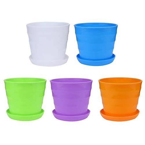 Macetas para 5 unid colorido mini plástico macetas macetas macetas suculentas macetas macetas macetas decoración del hogar accesorios de jardín (Color : A, Sheet Size : 5pcs) Macetas para 5 unid colorido mini plástico macetas macetas macetas suculentas macetas macetas macetas decoración del hogar accesorios de jardín (Color : A, Sheet Size : 5pcs)