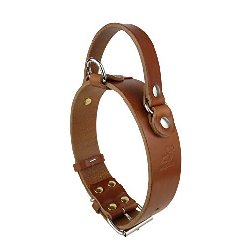 Nuevo Collar de Perro Mediano Grande con Mango (Labrador Golden Retriver Pastor alemán Bulldog Amstaff Pitbull Cachorro Adulto Joven) Cuero Resistente Real (Collar con Asa M 35-46 H3.5 cm, Coñac) Nuevo Collar de Perro Mediano Grande con Mango (Labrador Golden Retriver Pastor alemán Bulldog Amstaff Pitbull Cachorro Adulto Joven) Cuero Resistente Real (Collar con Asa M 35-46 H3.5 cm, Coñac)