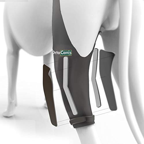 Ortocanis Inmovilizador de Rodilla para Perros con Rotura de ligamentos, luxación de rótula - 2 férulas Laterales limitan los Movimientos - 8 Tallas Disponibles - Talla XS - Pata Derecha