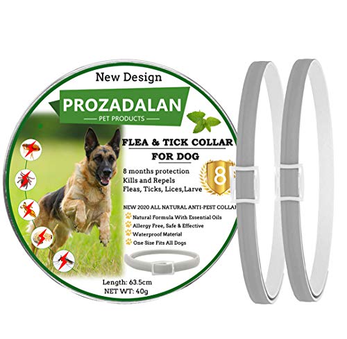 PROZADALAN Nuevo Diseño - Collares Antiparasitario para Perros, Eficaz Collar Antiparasitos Perros contra Pulgas y Garrapatas, 63cm Ajustable e Impermeable para Mascotas Pequeñas, Medianas y Grandes PROZADALAN Nuevo Diseño - Collares Antiparasitario para Perros, Eficaz Collar Antiparasitos Perros contra Pulgas y Garrapatas, 63cm Ajustable e Impermeable para Mascotas Pequeñas, Medianas y Grandes
