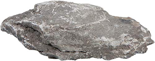 Sera 32340 Rock Gray Mountain S/M (Pieza de 0, 6 a 1, 4 kg) Piedra Natural para Acuario – Decoración Aquascaping