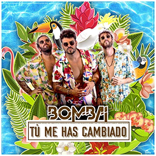 Tú Me Has Cambiado Tú Me Has Cambiado