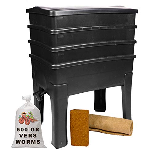 Worm Café, Lombricompostor 3 bandejas I 500 gr de lomo de Compost I, kit completo I, gran capacidad, 96 litros