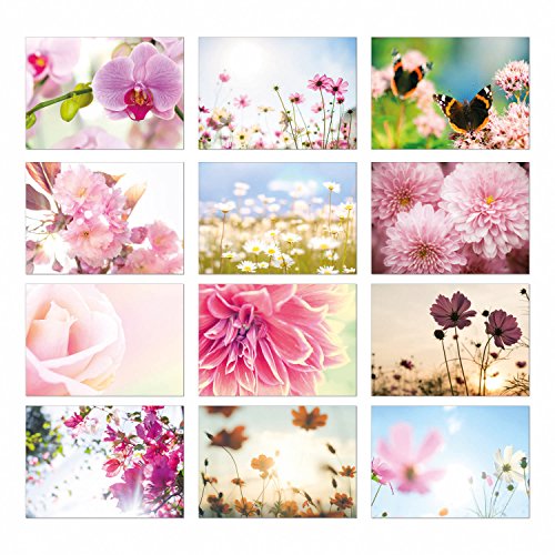 2 paquetes de 12 tarjetas postales neutrales de flores I dv_314 I DIN A6 I Juego de 24 tarjetas de felicitación con motivos naturales de mariposa I para escribir y enviar