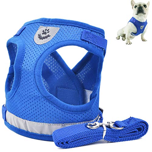 Arnés Gatos Pequeño con Correa Arneses para Perros Pequeños, Arnés para Gatos Ajustable Arnés para Perros Anti-escape Arnés para Cachorros, Malla Transpirable/Tira Reflectante, M: 35-40CM/3-4,5KG Azul Arnés Gatos Pequeño con Correa Arneses para Perros Pequeños, Arnés para Gatos Ajustable Arnés para Perros Anti-escape Arnés para Cachorros, Malla Transpirable/Tira Reflectante, M: 35-40CM/3-4,5KG Azul