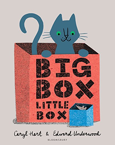 Big Box Little Box (English Edition)
