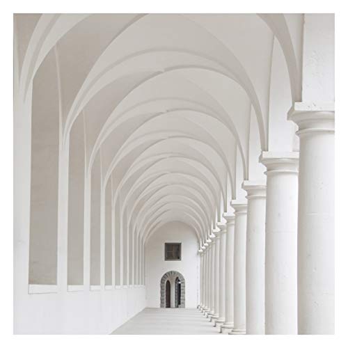 Bilderwelten Fotomural - Arcades - Mural cuadrado papel pintado fotomurales murales pared papel para pared foto 3D mural pared barato decorativo, Dimensión Alto x Ancho: 288cm x 288cm Bilderwelten Fotomural - Arcades - Mural cuadrado papel pintado fotomurales murales pared papel para pared foto 3D mural pared barato decorativo, Dimensión Alto x Ancho: 288cm x 288cm