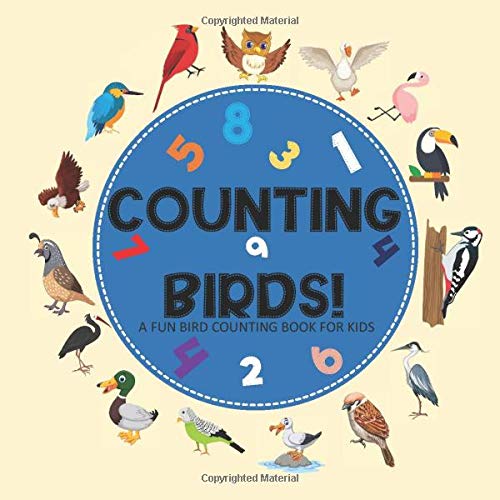Count the Birds Counting Book for kids: 2-5 year olds will improve their observational, motor skills and have a lot of fun with number counting using ... is perfect for pre-school learning games.