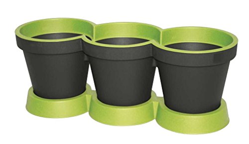 E&K - Maceta para hierbas (3 unidades, plástico), color gris y verde