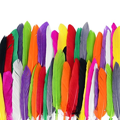 ewtshop® 250 plumas naturales, 10 plumas para manualidades y decoración, longitud 10-15 cm